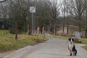 Posse um einen Wanderweg in Wilkau-Haßlau, der gar nicht existiert - Vermutlich bleibt es auch künftig auf diesem Waldweg in Silberstraße ruhig - er könnte seine öffentliche Bedeutung verlieren.