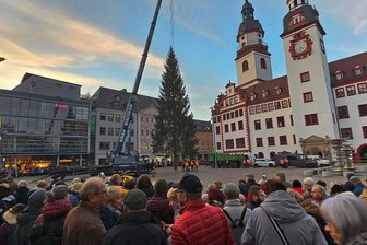 Prachtexemplar aus dem Erzgebirge: Chemnitzer Weihnachtsbaum steht - Das Aufstellen des Chemnitzer Weihnachtsbaumes haben zahlreiche Passanten verfolgt.