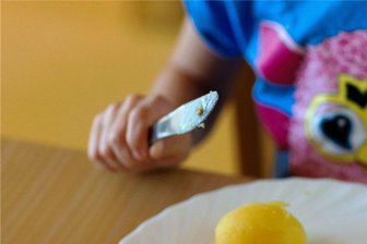 Preis-Schock in Chemnitz: Kita-Essen kostet bald 7,50 Euro pro Tag - Im Herbst könnte die Preise fürs Essen in Kitas steigen. Vertreter von Sozialverbänden warnen vor den Folgen für die Entwicklung der Kinder. 