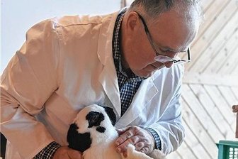 Preisrichter bewerten in Posseck Tiere erstmals vor Züchtern - Preisrichter Uwe Dressel bei der Tierbewertung.