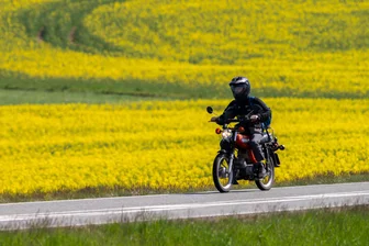 Premiere für Simson-Treffen im Erzgebirge: Was schafft die Simme hinauf zum Pöhlberg? - Mit der Simme entlang der Rapsfelder. Derzeit ist das Erzgebirge in leuchtendes Rapsgelb getaucht und der Zweitaktgeruch des Simson-Mopeds wird mit Rapsduft verfeinert.