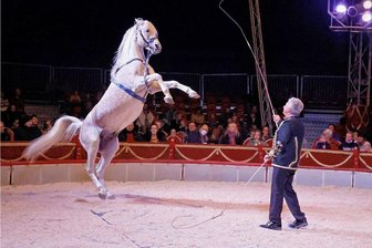 Premiere im Plauener Weihnachtszirkus auf der Kippe: Feuerwehr rettet erste Vorstellung - Zirkusdirektor Hardy Weisheit als Pferdedompteur in der Manege. 