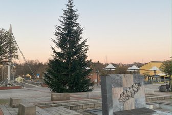 Premiere: Weihnachtsliedersingen mit drei Chören auf dem Marktplatz in Wilkau-Haßlau - Rund um den Weihnachtsbaum auf dem Marktplatz in Wilkau-Haßlau erklingen am vierten Advent Weihnachtslieder.