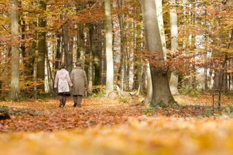 Prinz plant Waldfriedhof - 