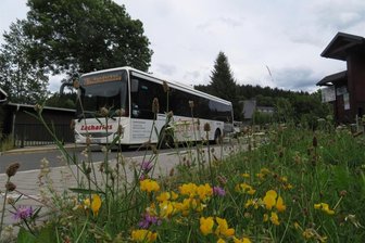 Probezeit überstanden: Wanderbus im Erzgebirge steuert jetzt auch Clausnitz an - Im Gespräch für den Wanderbus (Bild) sind auch das Hotel Dachsbaude & Kammbaude in Neuhausen.