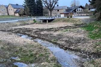 Probleme nach Sanierung in Eich: Weshalb bleibt das Wasser nicht im Teich? - Der Teich in Treuens Ortsteil Eich ist seit Jahren leer. Nun soll sich das ändern.