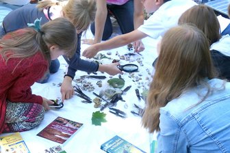 Projekt auf der Burg Mylau: Kinder erfinden Tiere - Ideen für neue Lebewesen werden gesucht, hier bei einer früheren Veranstaltung.
