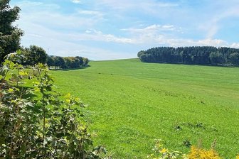 Projekt bei Zethau: Solarpark so groß wie 140 Fußballfelder - Nahe des Herrenweges in Zethau sind vier Solarflächen geplant. Die Flächen sollen jeweils eingezäunt werden, die Solarmodule auf Metallständern stehen. Zweimal jährlich soll gemäht werden.
