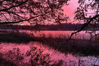 Purpurhimmel bringt Burgteich zum Glühen - 