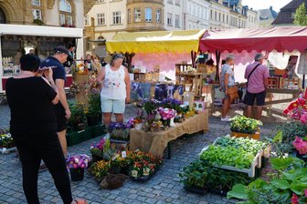 Qualität trifft Regionalität: Werdau sucht weitere Händler für Bauernmarkt - Der Naturwaren- und Bauernmarkt in Werdau lockt seit Jahren viele Besucher an.