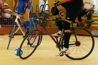 Radball-Fans aus dem Erzgebirge dürfen sich auf spannendes Saisonfinale freuen - Die Radballsaison neigt sich dem Ende entgegen.