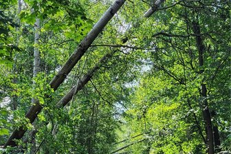 Radfahrer aus dem Göltzschtal aufgepasst: Hier ist die Strecke jetzt gesperrt - Ein Teilstück des Radweges zwischen Falkenstein und Oelsnitz bleibt bis nächsten Dienstag gesperrt.