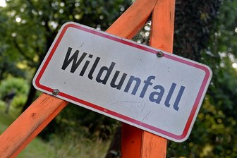 Radfahrer kollidiert bei Neuensalz mit einem Reh - Mit einem Reh ist bei Neuensalz ein Radfahrer zusammengestoßen.
