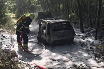 Rätsel um schwer verletzte Frau im Wald - 