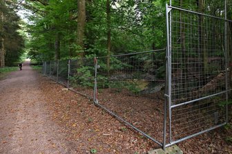 Rätselhafte Polizeiabsperrung im Nonnenwald: Was verbirgt sich hinter dem Bauzaun? - Direkt an einem Hauptweg im Nonnenwald bei Höckendorf ist seit Monaten ein kleiner Tümpel mit einem Bauzaun abgesperrt. Gerüchten zufolge sollte hier alte Munition liegen.