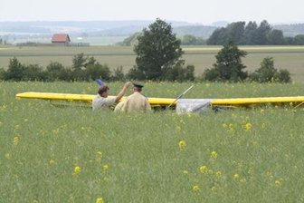 Polizisten im Rapsfeld