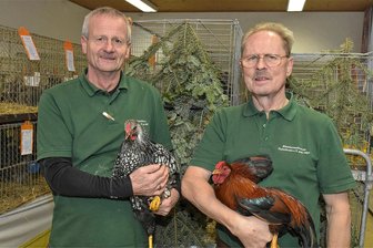 Raritäten bei der Lokalschau des Kleintierzuchtvereins Tiefenbrunn - In der Abteilung Hühner wurde Udo Apelt (links) auf Deutsche Wyandotten silber-schwarz gesäumt Vereinsmeister und in der Abteilung Zwerghühner Harald Baumann auf Zwerg-Dresdner rost-rebhuhnfarbig.