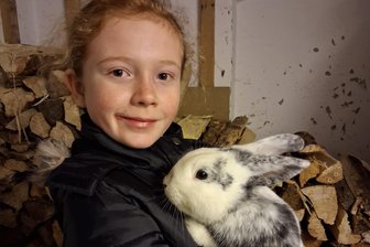 Rassige Kaninchen bevölkern am Wochenende die Eimberghalle in Werda - 