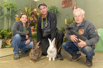 Rassiges Erzgebirge: Kleintierzüchter präsentieren ihre schönsten Tiere - Gabi Rabenstein und Roman Schubert mit zwei Deutschen Riesen, Gerd Rabenstein mit einem Blauen Wiener.