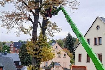 Rathaus-Linde in Cranzahl gefällt - Nach der Vegetationsperiode ist nun die morsche Rathaus-Linde in Cranzahl gefällt worden. 