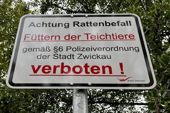 Rattenplage in Zwickau: Stadt reagiert mit Warnschildern am Teich - Am Teich in Neuplanitz warnen Schilder vor Ratten. Das Füttern der Tiere im Teich ist verboten.