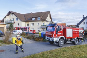 Rauchmelder retten Katzenleben - 
