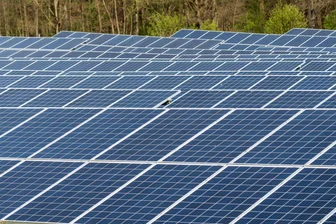 Raus aus dem Saustall: In der Debatte um Solarparks im Erzgebirge muss verbal abgerüstet werden - Anlass einer hitzigen Debatte: geplante Solarparks bei Lippersdorf und Reifland.
