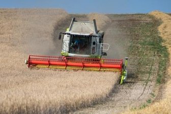 Regen in Australien macht Baywa und Sachsens Bauern zu schaffen - Weltweit gute Weizenernten haben Sachsens Bauern 2015 einen Preisverfall und dem Baywa-Konzern ein Umsatzminus beschert.