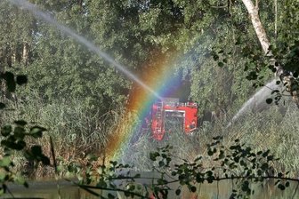 Regenbogen begleitet Rettungsaktion für Fische - Einen kleinen Regenbogen über dem Ziegelteich in Hohenstein-Ernstthal konnten Passanten am Mittwochabend bestaunen.