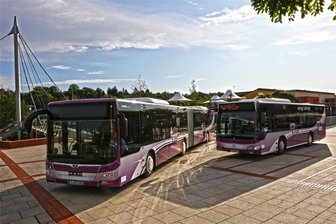 Region Hohenstein-Ernstthal: Bürger sollen beim künftigen Busnetz mitreden - Die Regionalbusse sollen im Nordosten des Landkreises ab 2029 nach neuen Plänen fahren.