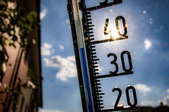 Region plant Aktivitäten gegen den Klimawandel - 
