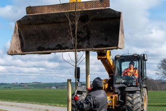 Region Rochlitz Teil eines Klimaprojekts - Immer wieder hat es in den vergangenen Jahren Baumpflanzaktionen in der Region auf private und kommunale Initiative hin gegeben, wie hier vor rund zwei Jahren zwischen Wiederau und Topfseifersdorf. Welche vielfältigen Möglichkeiten es gibt, um die Region lebenswert zu erhalten, soll bei einer Konferenz im Mai beleuchtet werden. 
