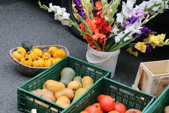 Regionale Leckereien beim Bauernmarkt in Werdau - Ein buntes Angebot gibt es am Samstag auf dem Naturwaren- und Bauernmarkt in Werdau.