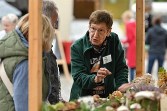 Regionalmarktsaison in Rochlitz endet mit Premiere - Kreispilzberaterin Sieglinde Köhler (re.) aus Striegistal beriet neugierige Marktkunden.