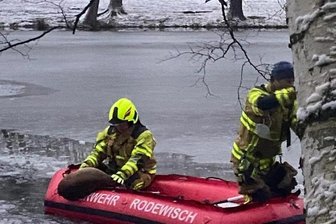 Reh bricht im Eis ein -