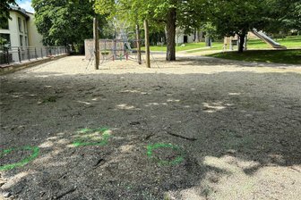 Reichenbach: Absperrung im Trinitatispark sorgt für wilde Gerüchte - Diese grünen Markierungen im Trinitatispark heizten in Reichenbach die Gerüchteküche an.