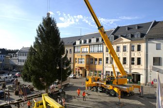 Reichenbach: Am Haken von Autokran Rudi schwebt der Tannenbaum ein - Am Haken von Autokran Rudi schwebte der Weihnachtsbaum vor dem Reichenbacher Rathaus ein. Etliche Schaulustige verfolgten das Spektakel zur Mittagszeit.
