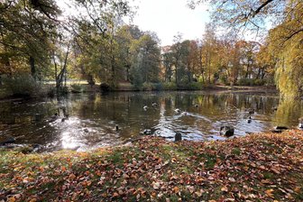 Reichenbach: Am Samstag steigt ein Arbeitseinsatz im Stadtpark - In den Reichenbacher Stadtpark ruft ein Arbeitseinsatz.