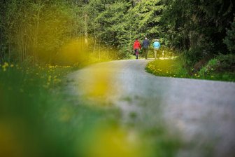 Reichenbach ist 2027 Gastgeber des Sächsischen Wandertages - Wandern ist eine beliebte Freizeitbetätigung in der Natur: 2027 ist Reichenbach im Vogtland Gastgeber des Sächsischen Wandertages vom 25. bis 27. Juni. (Symbolbild)