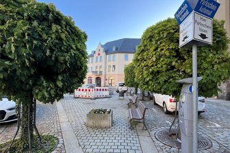 Reichenbach: Speed-Dating mit Politikern am Freitag auf dem Postplatz - Hier auf dem Postplatz in Reichenbach soll das Speed-Dating am Freitag steigen.