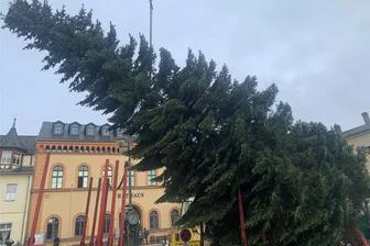 Reichenbach sucht Bäume für die Weihnachtszeit - Der Weihnachtsbaum wird vor dem Reichenbacher Rathaus aufgestellt.