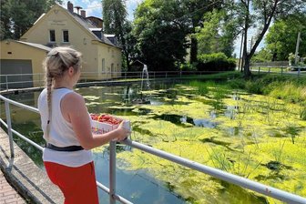 Reichenbach: Wie sicher muss der Dorfteich sein? - Der Teich neben der Freiwilligen Feuerwehr in Obermylau ist mit einem Geländer umgeben.