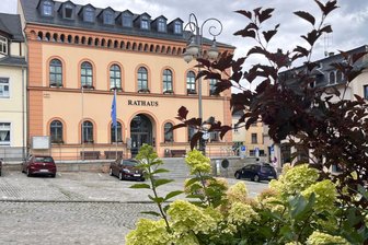 Reichenbacher OB: „Nichts auf die Tagesordnung gemogelt“ - Der Stadtrat soll sich nun im September mit der überörtlichen Haushaltsprüfung befassen.