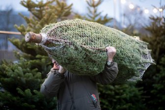 Reichenbacher Stadtverwaltung verkauft Weihnachtsbäume - Die Stadt Reichenbach verkauft wieder Weihnachtsbäume.