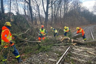 Reichenbacher THW macht Bahnlinie frei - Neun Kräfte rückten aus und beräumten die Gleise in Nähe des Falkensteiner Bahnhofes