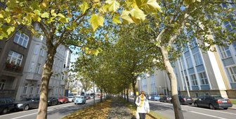 Reichenhainer Straße