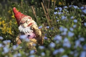Reinsberg sucht schönstes Grundstück - 
