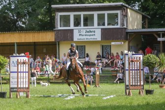 Reit- und Fahrverein feiert ein Jahr verspätet 50 Jahre Pferdesport in Limbach-Oberfrohna - Zwei Tage lang treffen sich Pferdesportvereine aus der gesamten Region in der Stadt, es werden verschiedene Spring- und Dressurwettkämpfe ausgetragen und eine Vielzahl von Showeinlagen geboten.