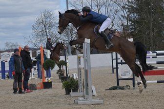 Reiten: Westsachsen präsentieren sich bei der Winteredition in sehr guter Form - Henry Stude vom RFV Langenbernsdorf feierte bei der Winteredition in Zwickau einen Sieg und einen zweiten Platz.