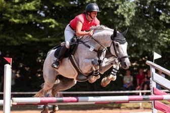 Reitspektakel am Park: Neukirchener meistern erneut alle Hindernisse - Ohne Fehler: Nicole Göpfert vom RFV Neukirchen, hier auf Collage MZ, ritt bei acht Prüfungen acht Nullrunden.